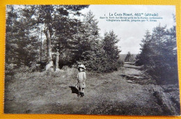 STOUMONT  - La Croix Nivert  Dans La Forêt Des Hovas , 460 M D'altitude  ( Feldpost) - Stoumont