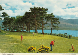 GOLF Course In Killarney Ireland - Golf