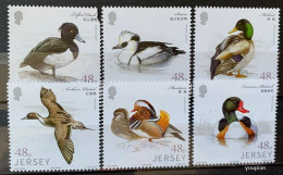 Jersey 2016, Ducks, MNH Stamps Set - Cease On The Corner Of One Single Stamp - Jersey