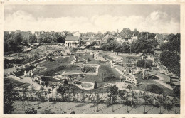 BELGIQUE - Coxyde Bains - Golf Miniature Du Petit Bois - Carte Postale Ancienne - Koksijde