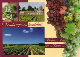 CPM - D  - GIRONDE - VENDANGES EN BORDELAIS - CHATEAU MAROJALLIA - VILLAGE DE MARGAUX - AOC MARGAUX - VIGNOBLE BORDELAIS - Margaux