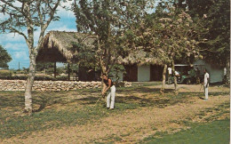 GOLF Course In Romana Dominican Republic 1974 - Golf