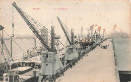 BELGIQUE - Anvers - Vue Générale Du Promenoir - Colorisé - Carte Postale Ancienne - Antwerpen