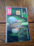 Escargot Escargots Belgacom - Andere & Zonder Classificatie