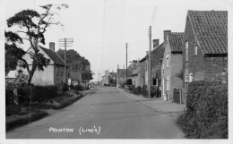 24-2443 : POINTON (LINC'S) - Autres & Non Classés