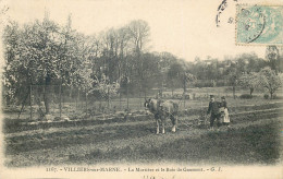 VAL DE MARNE  VILLIERS SUR MARNE  La Mortiere Et Le Bois De Gaumont - Villiers Sur Marne