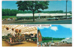 B-9919  AARSCHOT : Bloemeweelde Germaine - Aarschot