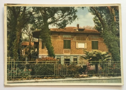 VIAREGGIO - VILLA DEL MAESTRO GIACOMO PUCCINI - NV FG - Viareggio