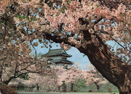 JAPON - Castle (Aomori Pref) - La Pleine Floraison De Hirosaki Château - Carte Postale - Otros & Sin Clasificación