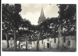 40  Saint Vincent De Tyrosse -  L'eglise Et Le Monument Aux Morts - Saint Vincent De Tyrosse