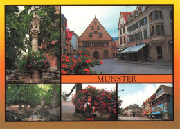 FRANCE - Munster - Multivues - Colorisé - Carte Postale - Munster
