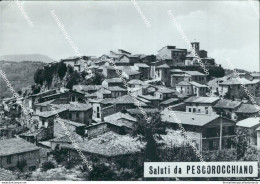 Cd481 Cartolina Saluti Da Pescorocchiano Provincia Di Rieti Lazio - Rieti