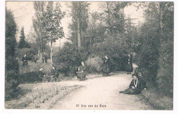 B-9928  HOOGSTRATEN : Pensionnat Des Ursulines : Une Vue Du Parc ( 31) - Hoogstraten