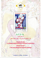 Tunisia 2022 (Flyer- Fact Sheet) The Fight Against Breast Cancer (3 Languages Arabic-French-English) 3 Scans - Medicina