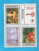 1994 54-57  MAKEDONIEN MAKEDONIJA MAKEDONIA  MACEDONIA MEDICINA CANCRO CANCER  RED CROSS - Swans