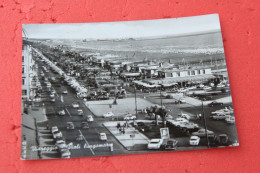 Viareggio I Viali Sul Littorale + Auto Anche VW Kafer Beetle 1968 - Viareggio