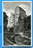 FEL1679, Schloss Wildegg, J. Schmidli, 254, Non Circulée - Wildegg