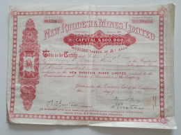 1905 Action New Rhodesia Mines Limited South Africa - Mijnen