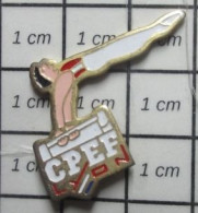 1417 Pin's Pins / Beau Et Rare / SPORTS / CPEF CLUB GYMNASTIQUE LYON - Ginnastica