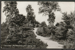 Nunspeet - Wandelpaadje Door Bos En Hei - Nunspeet