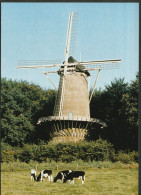 Windkorenmolen (stellingmolen) Delft - Rijksmuseum - Windmill -  Het NL Openluchtmuseum In Arnhem - Delft