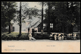 Soestdijk - Huize De Eult - Levendig: Koeien, Wandelaars Met Kinderwagen 1908 - Soestdijk