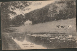 Rosendaal - Openbare School Met Koeien 1921 - Velp / Rozendaal