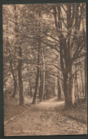 Zeist 1916 - Walkartpark - Zeist