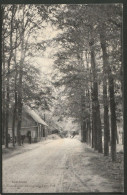 Apeldoorn 1909 - Amersfoortsche Weg Met Echo-Put - Paard En Wagen - Apeldoorn