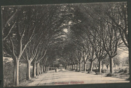 Harderwijk 1910 - Stationsweg Met Stel - Harderwijk