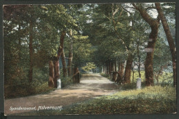 Hilversum 1909  - Spanderswoud  - Hilversum