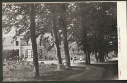 Lage-Vuursche - Tol 1910 Levendig - Baarn