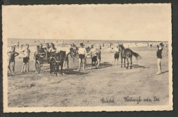 Katwijk Aan Zee 1934 - Levendig Strandleven Met Paardjes Aan Het Strand - Katwijk (aan Zee)