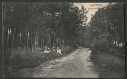 Hattem - Boschkiekje Met Picknickend Gezin - Hattem