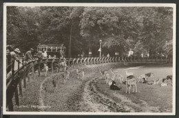 Haarlem - Hertenkamp - Haarlem