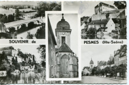 CPSM -  PESMES - SOUVENIR - CARTE MULTIVUES - Pesmes