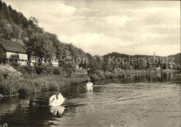 72404593 Ziegenrueck Saalepartie Schwaene Ziegenrueck Thueringen - Ziegenrück