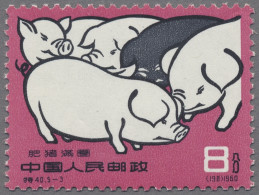 China (PRC): 1960, "pigs" Luxus Quality For This Kind Of Issue ÷ 1960, Schweinez - Ongebruikt