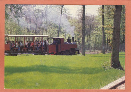 EVRY - ESSONNE - CHEMIN DE FER DE ST EUROPE - DEPART D'UNE RAME DE BALADEUSES OUVERTES - ECRITE - Evry