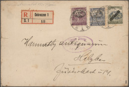 Hungary: 1919/1920, Collection Of 66 Covers/cards Showing A Lovely Range Of Inte - Debrecen