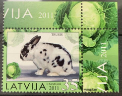 Latvia 2011, Rabbit, MNH Single Stamp - Lettonie