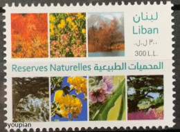Lebanon 2010, Vegetation Of Natural Reserves, MNH Single Stamp - Lebanon