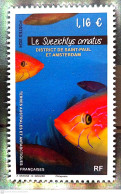 2024-01- TAAF- SFAT-  FISH SUEZICHTYS ORMATUS        1V      MNH** - Ungebraucht