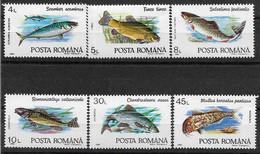 1992 ROUMANIE 3991-96 ** Poissons, Série Complète - Nuevos