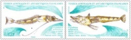 2024-01- TAAF- SFAT-  FISH CRYODRIACO ANTARTICUS        2V      MNH** - Unused Stamps