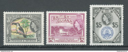 1954-63 British Guiana - Stanley Gibbons N. 343-44-45, 3 Alti Valori - MNH** - Altri & Non Classificati