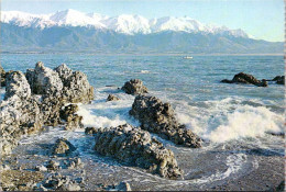 14-2-2024 (4 X 11) New Zealand - Kaikoura - Nouvelle-Zélande