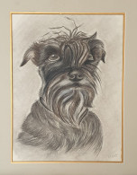 TRES BEAU PORTRAIT D'UN CHIEN (SCHNAUZER) AU CRAYON GRAPHITE SIGNE B. ROUYER - Zeichnungen