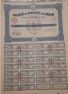 Action 100 Francs - Société Du Domaine De Kébao - J - L