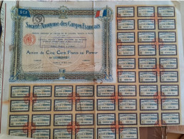 Action 500 Francs - 1919 - Société Anonyme Des Cargos Français - Note Comportant Des Renseignements Sur La Société - Scheepsverkeer